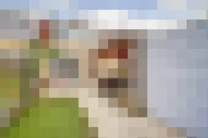 Gerard den Brabanderhof 32 Hoorn thumbnail 39