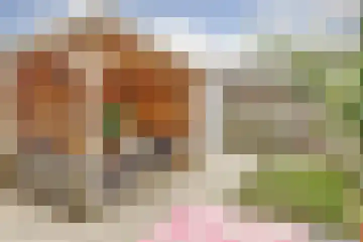 Gerard den Brabanderhof 32 Hoorn thumbnail 4