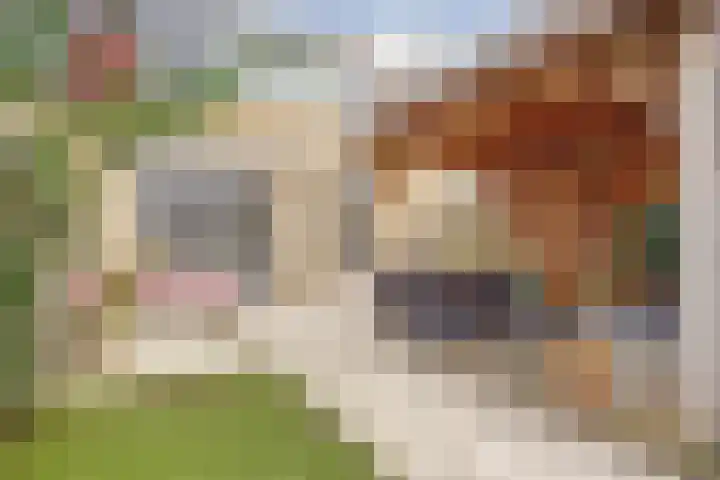 Gerard den Brabanderhof 32 Hoorn thumbnail 40
