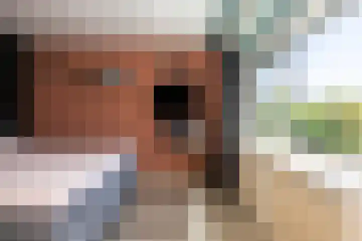Gerard den Brabanderhof 64 Hoorn thumbnail 22