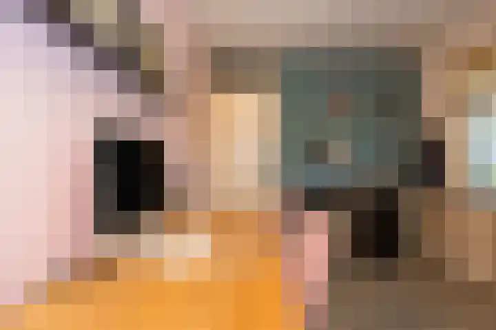 Gerard den Brabanderhof 64 Hoorn thumbnail 31