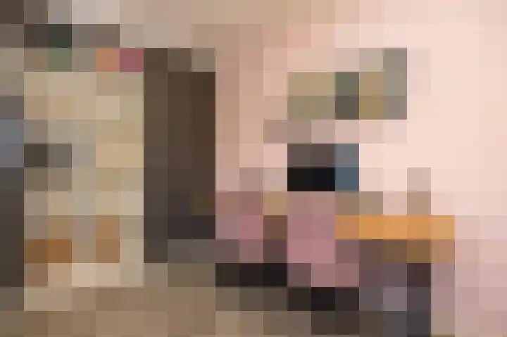 Gerard den Brabanderhof 64 Hoorn thumbnail 32
