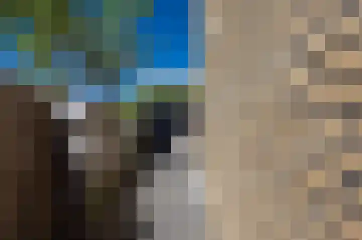 Gerard den Brabanderhof 64 Hoorn thumbnail 47