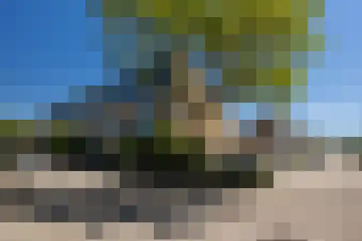 Gerard den Brabanderhof 64 Hoorn thumbnail 5