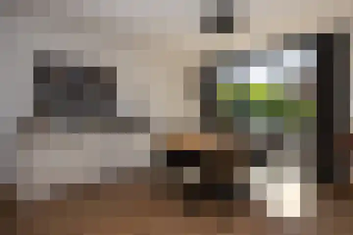 Gerard den Brabanderhof 64 Hoorn thumbnail 8