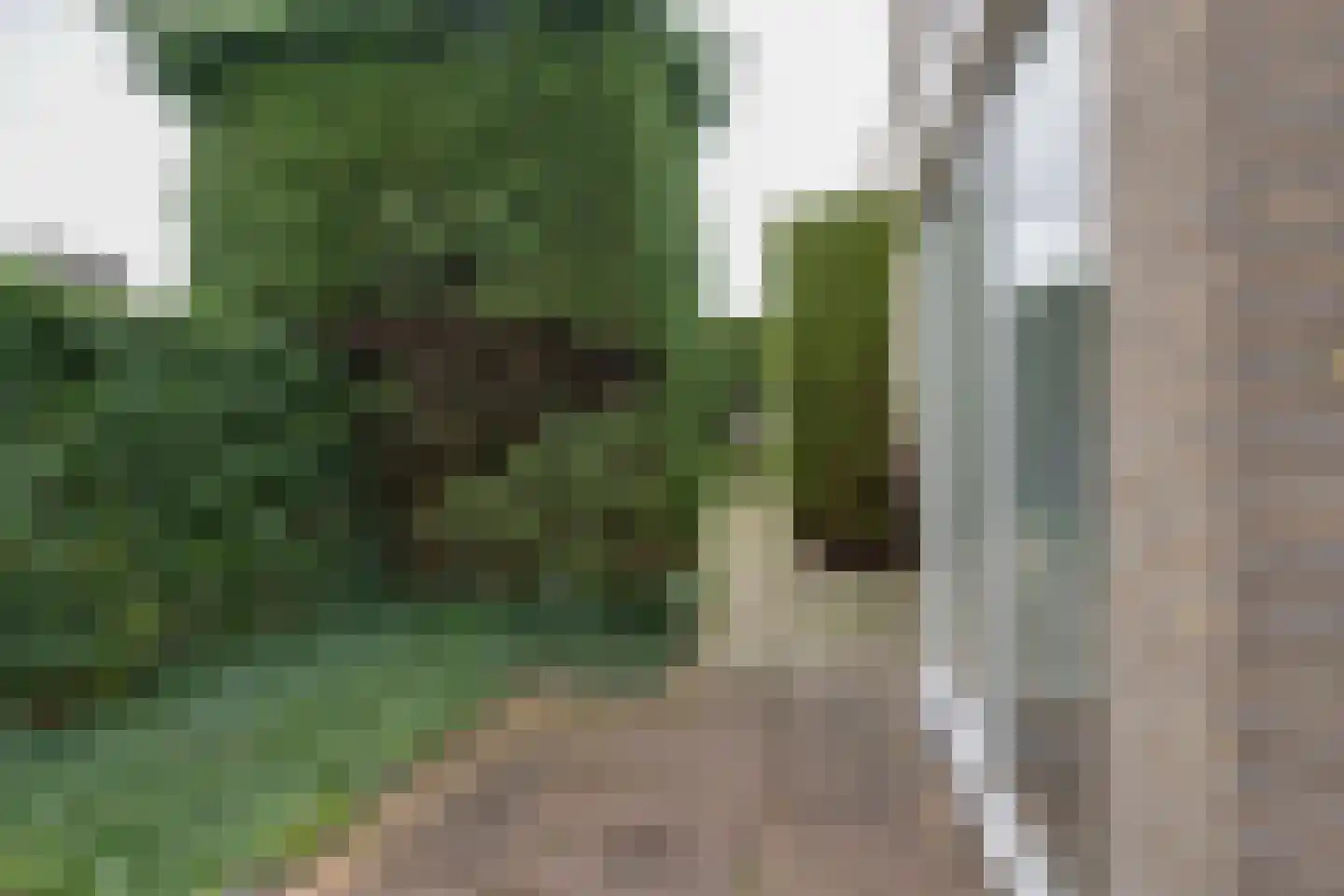 Gerard den Brabanderhof 9 Hoorn thumbnail 38