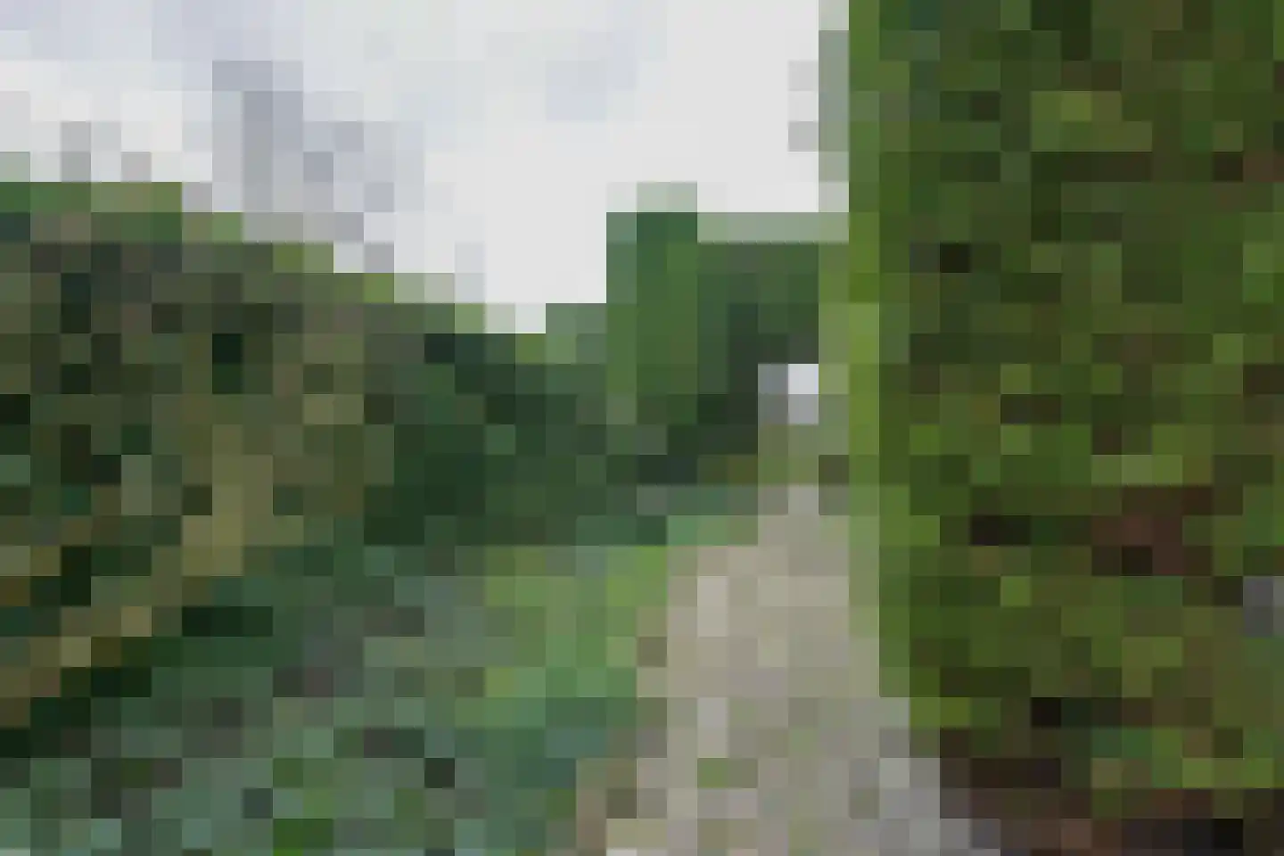Gerard den Brabanderhof 9 Hoorn thumbnail 39