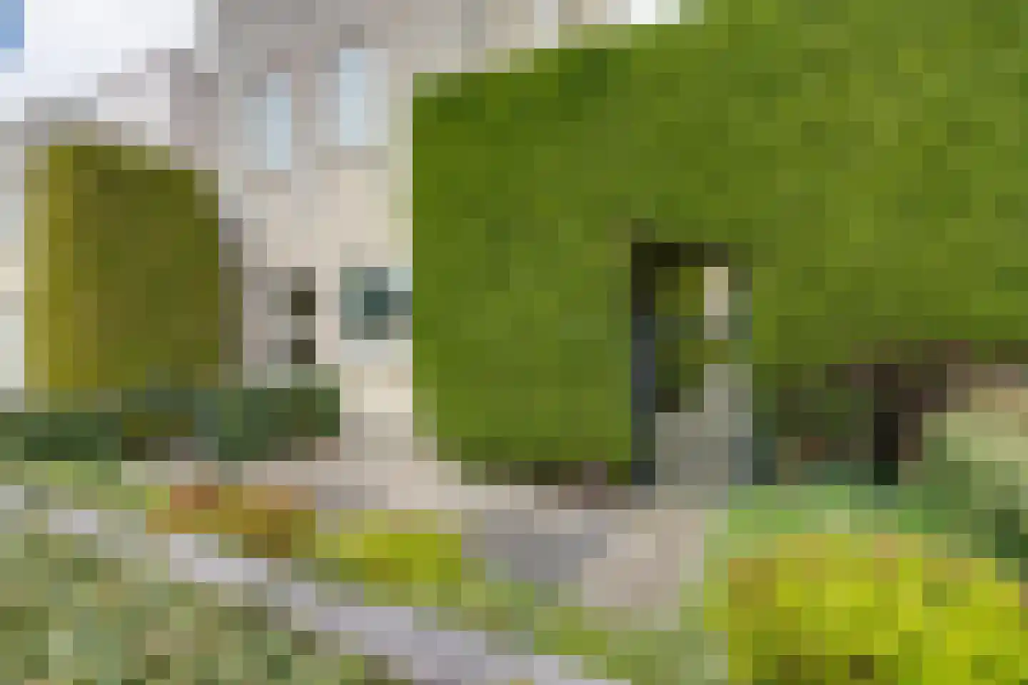 Gerard den Brabanderhof 9 Hoorn thumbnail 40
