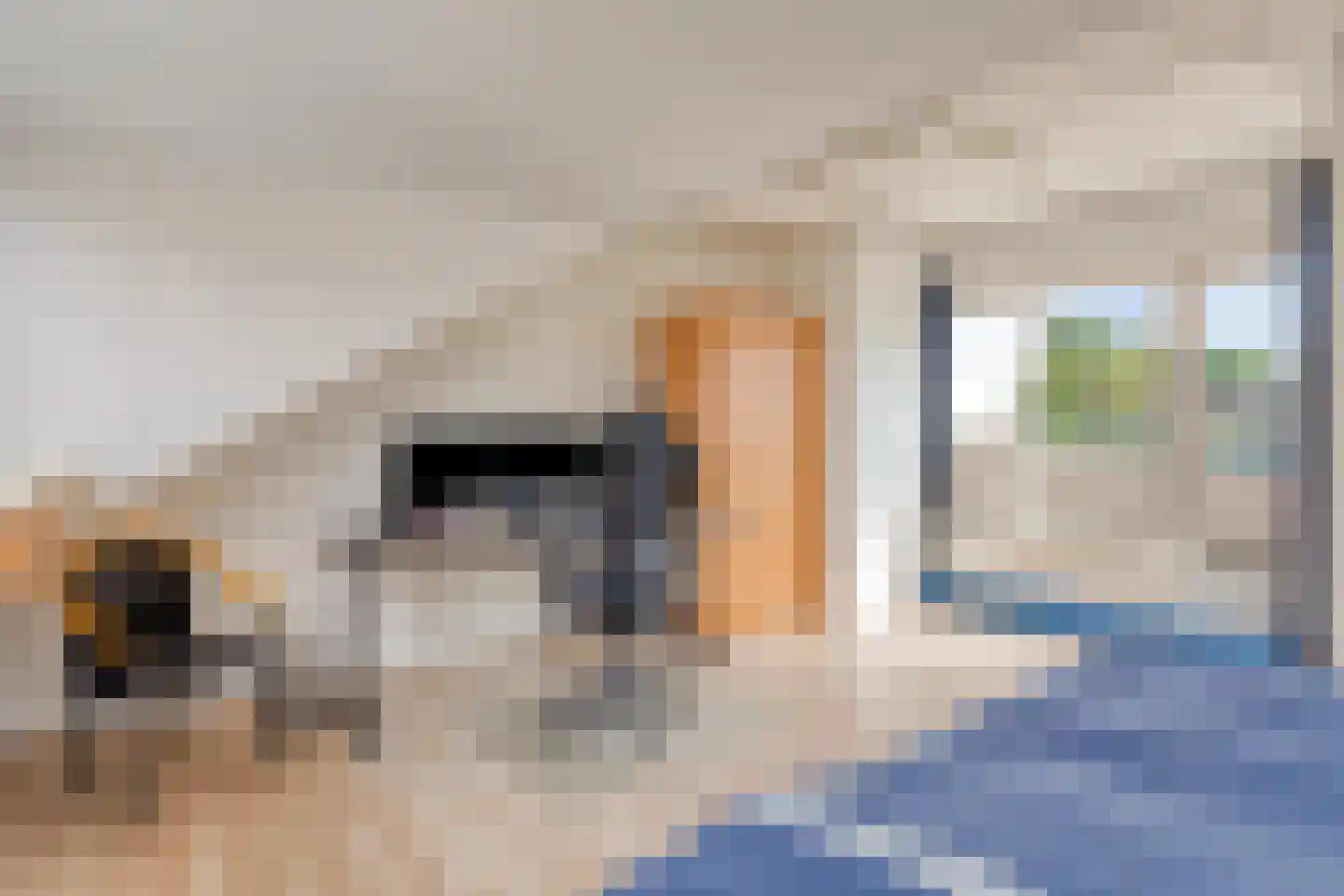 Gerard den Brabanderhof 98 Hoorn thumbnail 24