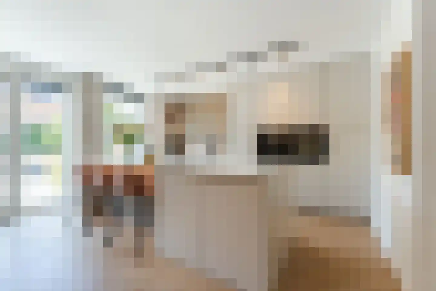 Gerard den Brabanderlaan 19 De Meern thumbnail 15