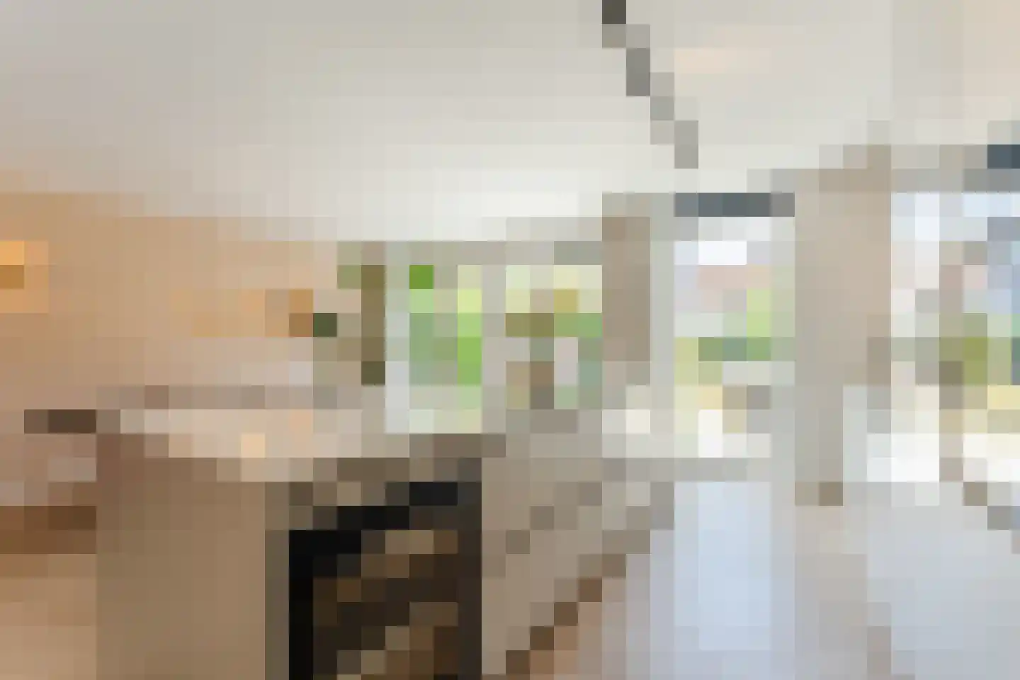 Gerard den Brabanderlaan 19 De Meern thumbnail 17
