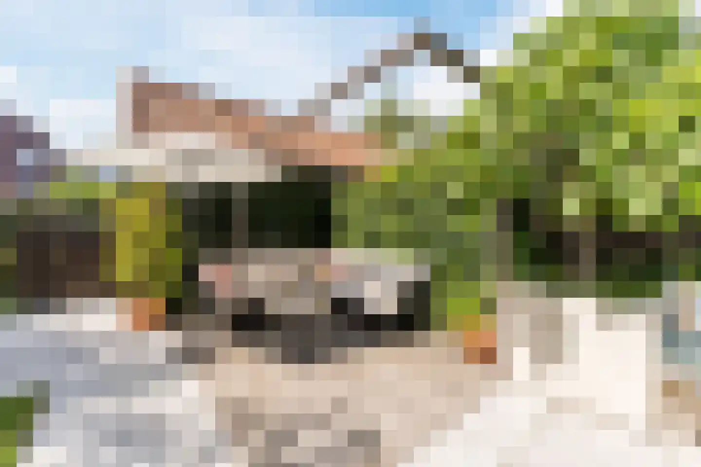 Gerard den Brabanderlaan 19 De Meern thumbnail 22