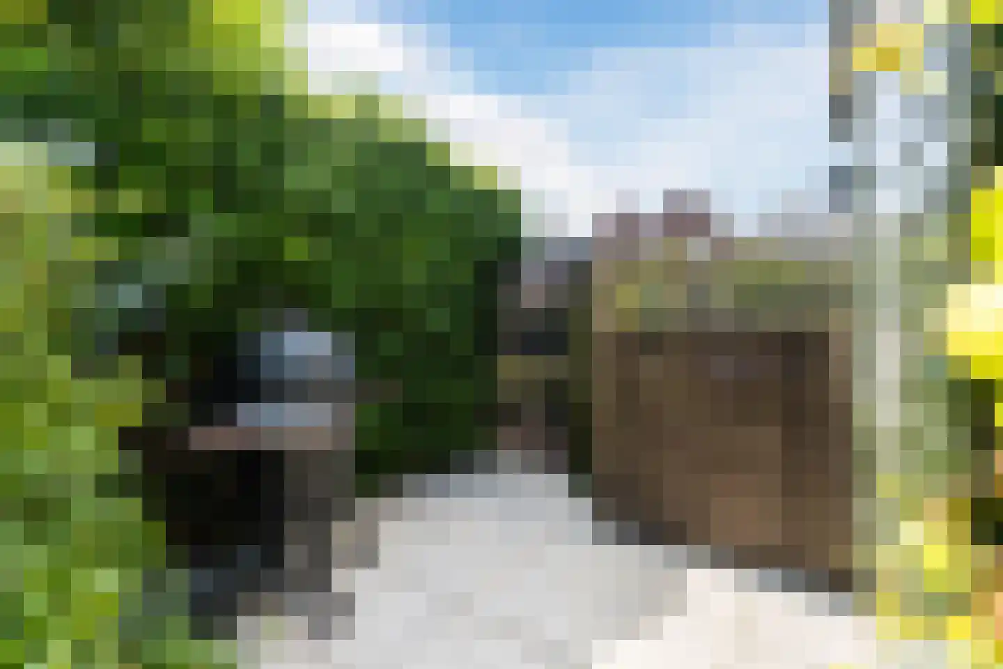 Gerard den Brabanderlaan 19 De Meern thumbnail 24