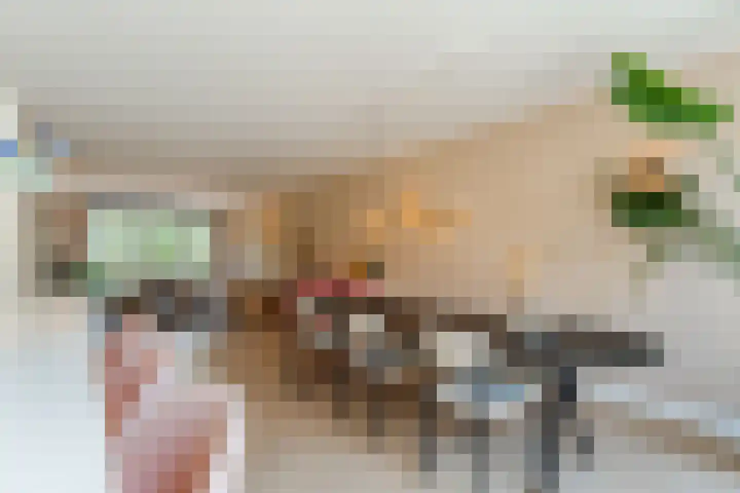 Gerard den Brabanderlaan 19 De Meern thumbnail 31