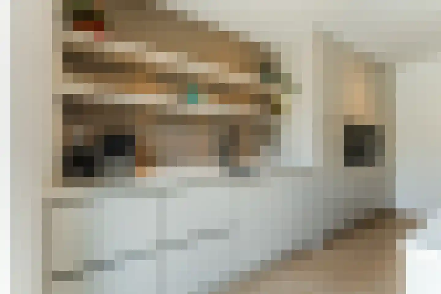 Gerard den Brabanderlaan 19 De Meern thumbnail 34