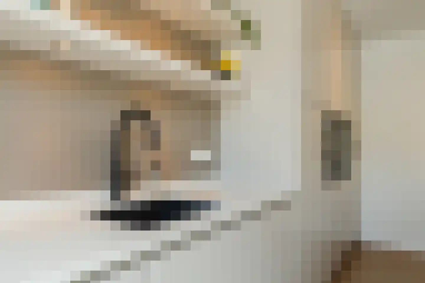 Gerard den Brabanderlaan 19 De Meern thumbnail 35