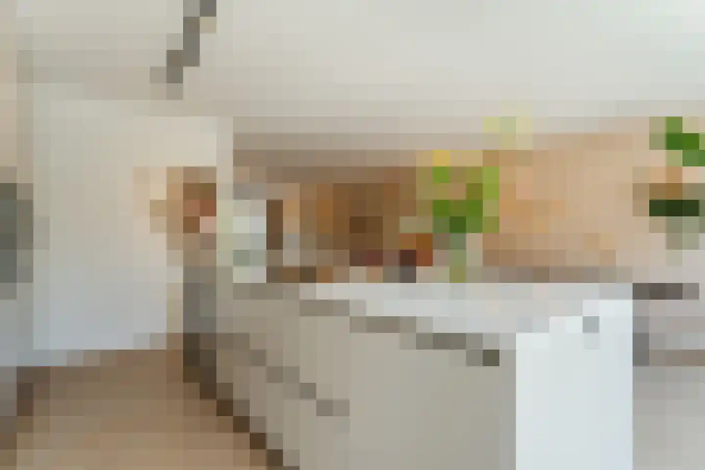 Gerard den Brabanderlaan 19 De Meern thumbnail 36