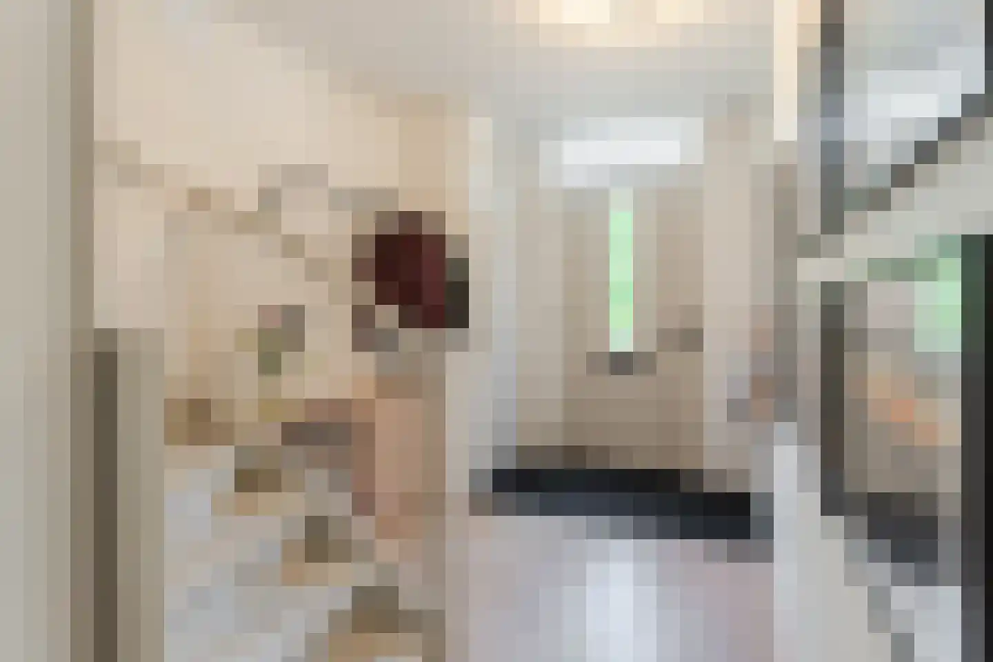 Gerard den Brabanderlaan 19 De Meern thumbnail 38