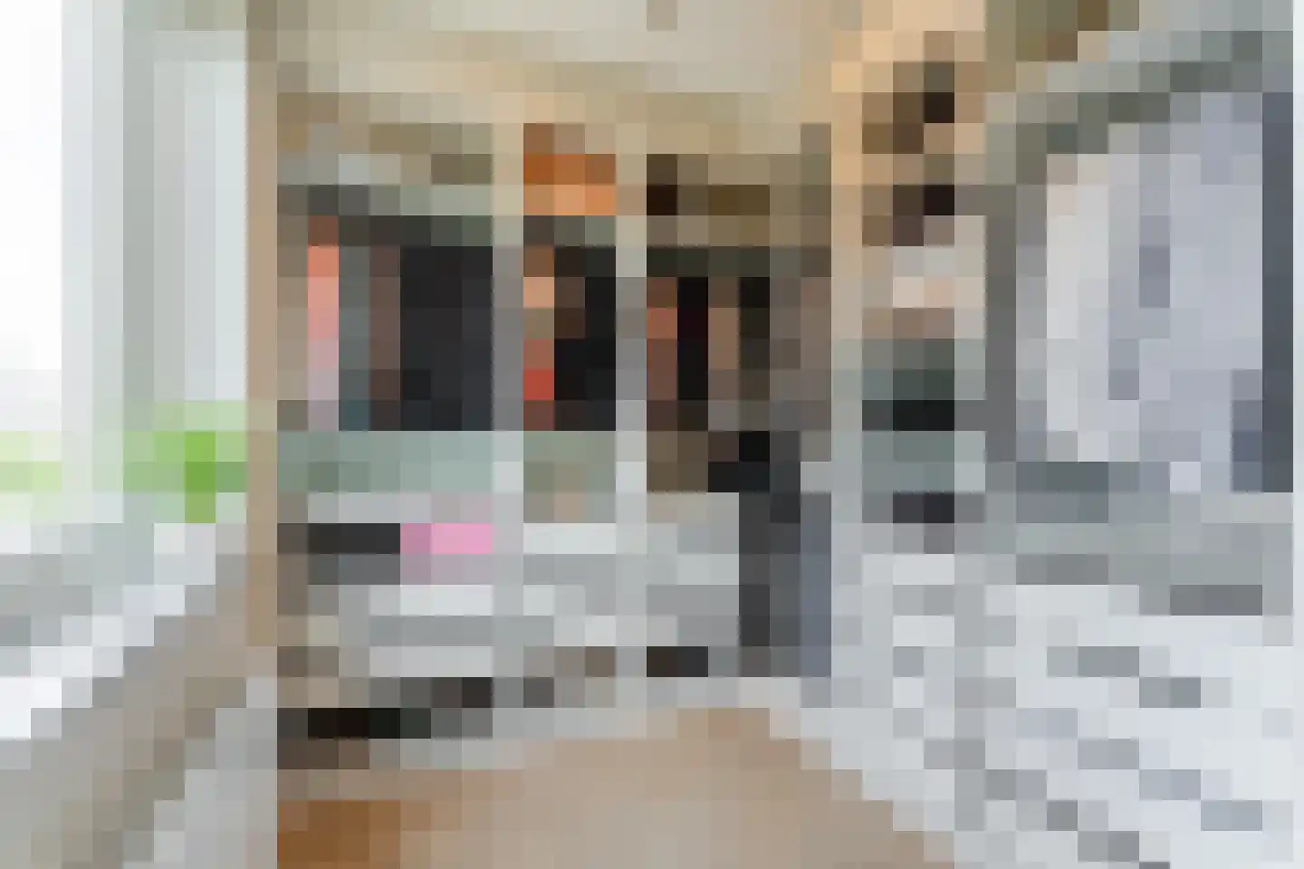 Gerard den Brabanderlaan 19 De Meern thumbnail 43