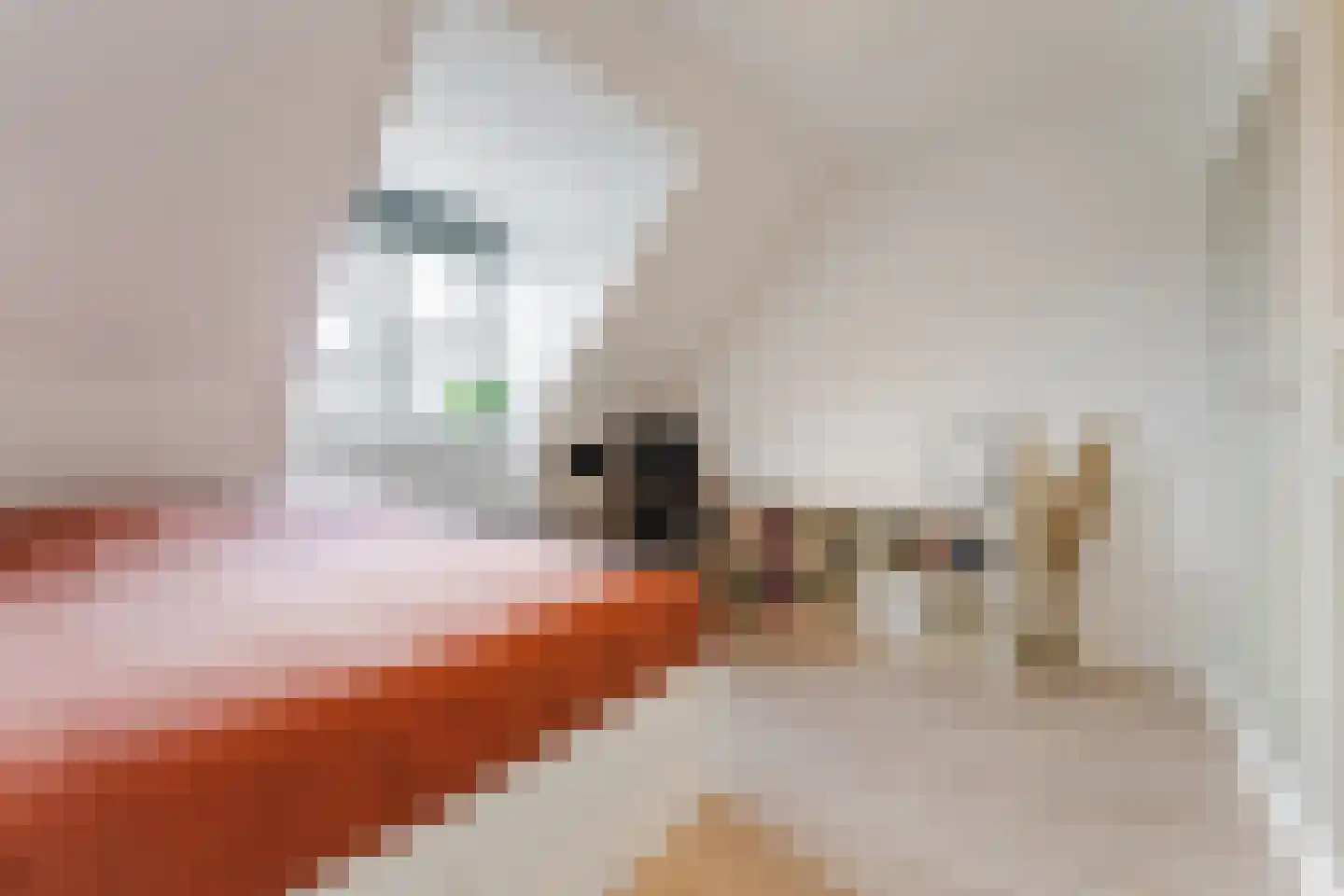 Gerard den Brabanderlaan 19 De Meern thumbnail 57
