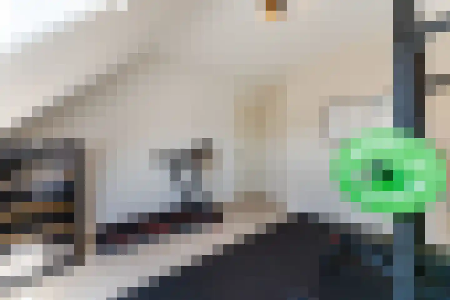 Gerard den Brabanderlaan 19 De Meern thumbnail 63