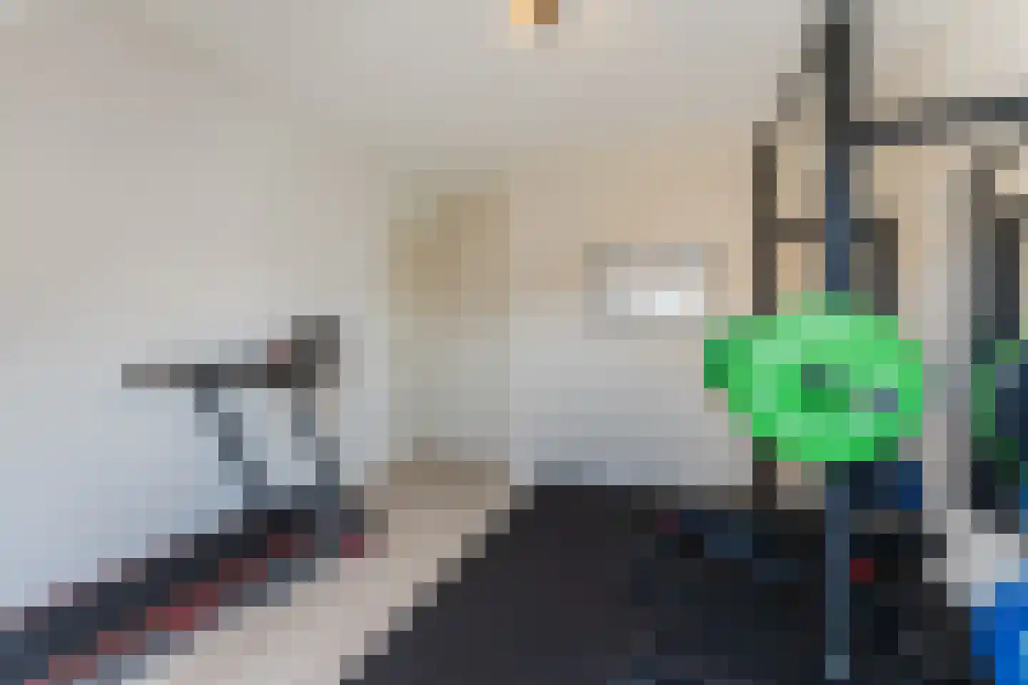 Gerard den Brabanderlaan 19 De Meern thumbnail 64