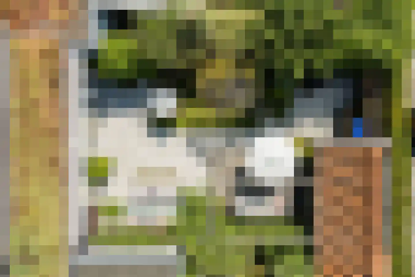 Gerard den Brabanderlaan 19 De Meern thumbnail 80