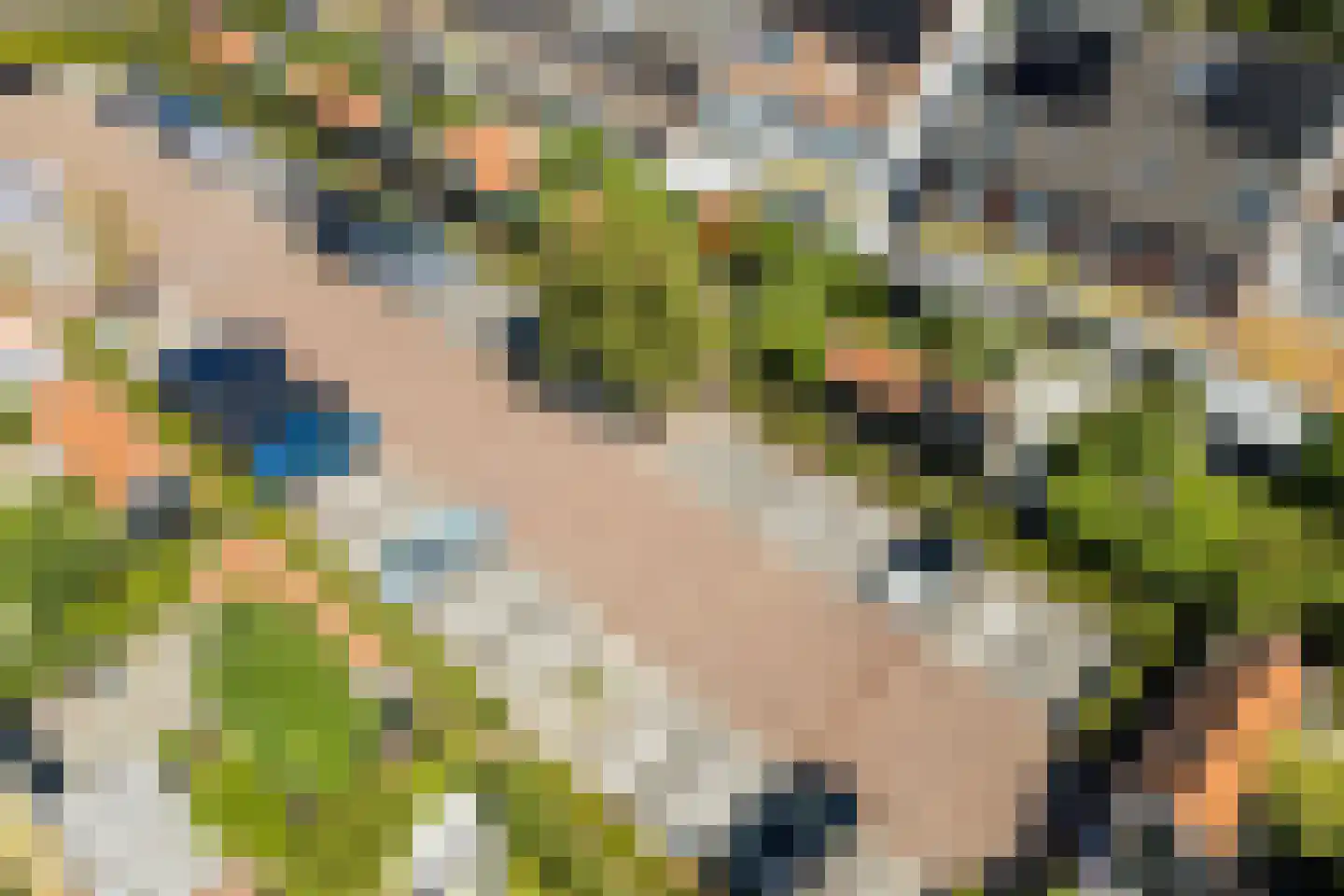 Gerard den Brabanderlaan 19 De Meern thumbnail 82