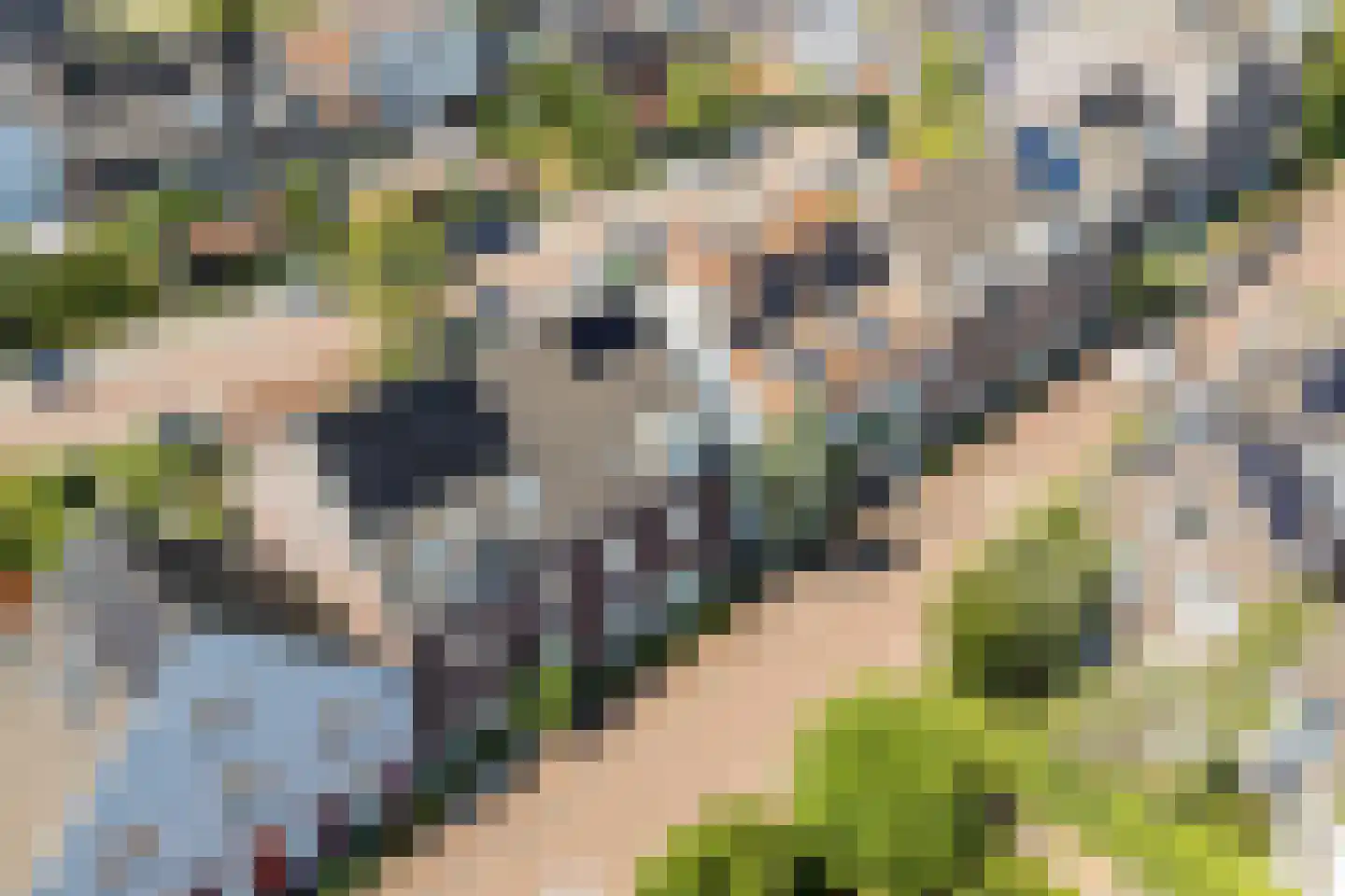 Gerard den Brabanderlaan 19 De Meern thumbnail 83