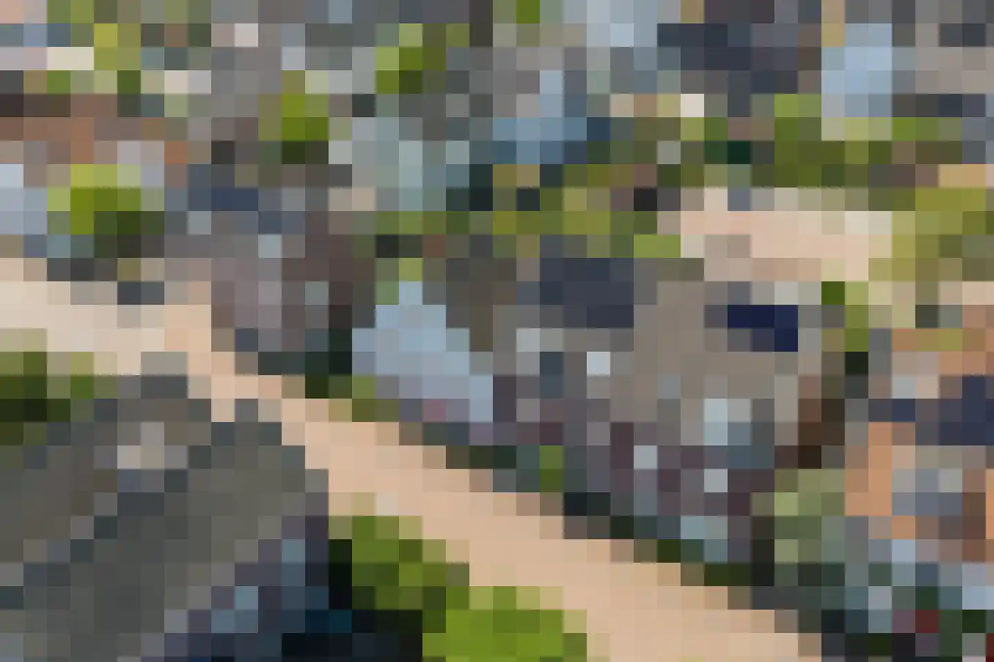 Gerard den Brabanderlaan 19 De Meern thumbnail 84