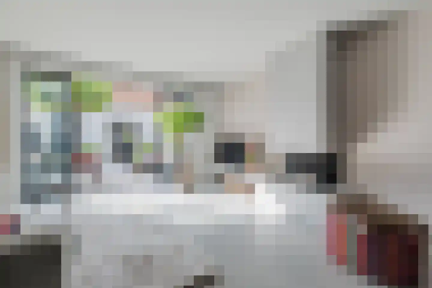 Gerard den Brabanderlaan 47 De Meern thumbnail 16