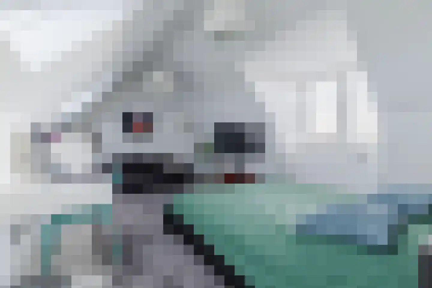 Gerard den Brabanderlaan 47 De Meern thumbnail 53