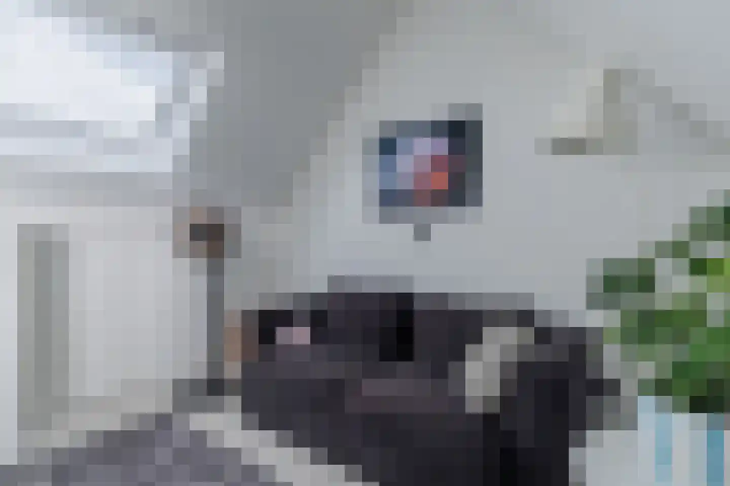 Gerard den Brabanderlaan 47 De Meern thumbnail 55