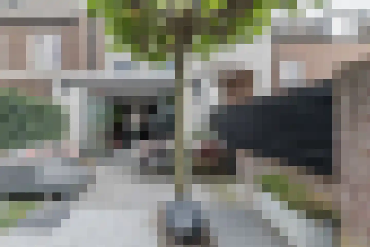 Gerard den Brabanderlaan 47 De Meern thumbnail 57