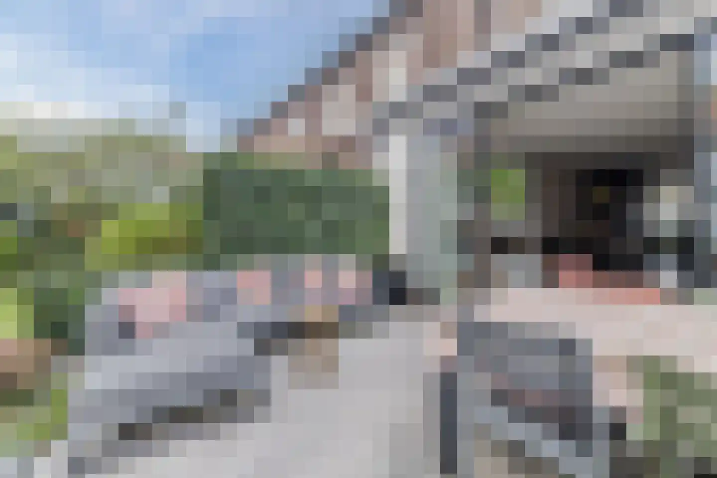 Gerard den Brabanderlaan 47 De Meern thumbnail 59