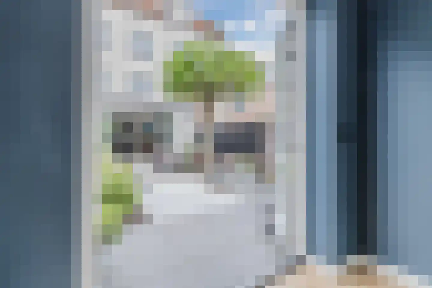 Gerard den Brabanderlaan 47 De Meern thumbnail 66
