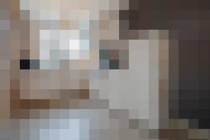 Gerard Doggerlaan 19 Den Haag thumbnail 15