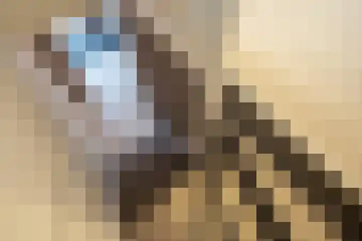 Gerard Doggerlaan 19 Den Haag thumbnail 18