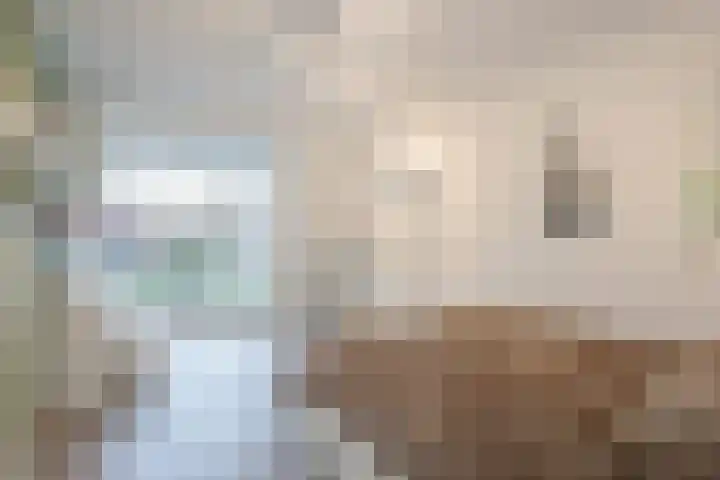 Gerard Doggerlaan 19 Den Haag thumbnail 20
