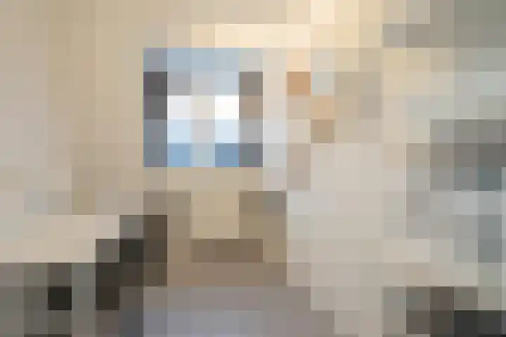 Gerard Doggerlaan 19 Den Haag thumbnail 24
