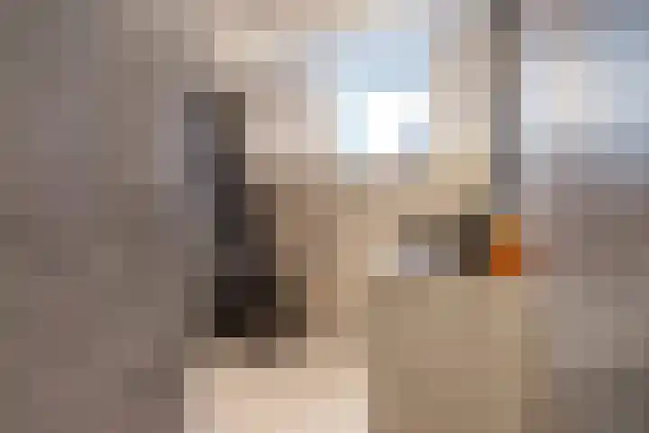 Gerard Doggerlaan 19 Den Haag thumbnail 25