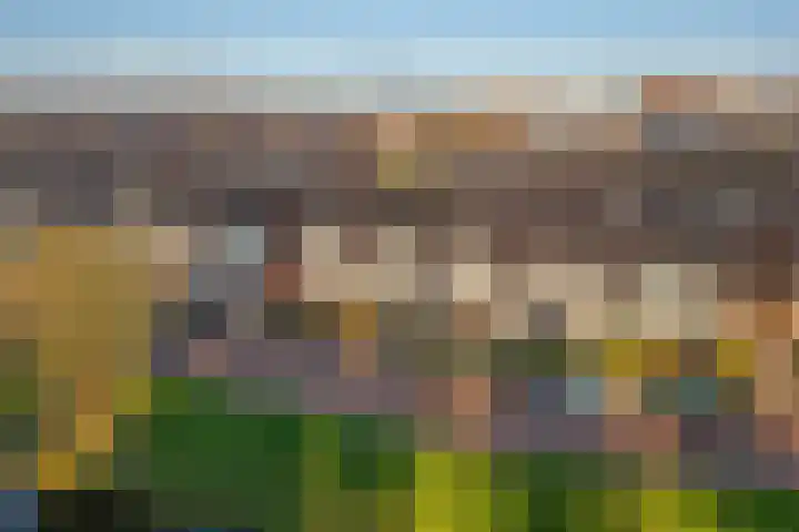 Gerard Doggerlaan 19 Den Haag thumbnail 43