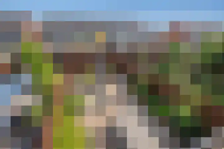 Gerard Doggerlaan 33 Den Haag thumbnail 22