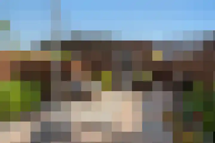 Gerard Doggerlaan 33 Den Haag thumbnail 23