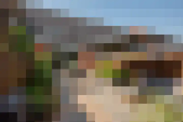 Gerard Doggerlaan 33 Den Haag thumbnail 25