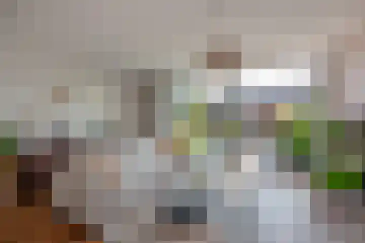 Gerard Doggerlaan 33 Den Haag thumbnail 6