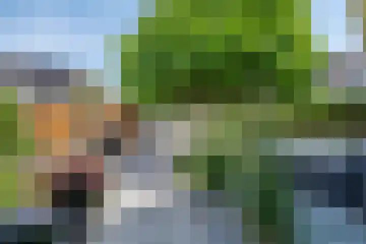 Gerard Doggerlaan 51 Den Haag thumbnail 65