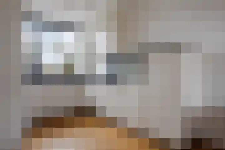 Gerard Doggerlaan 53 Den Haag thumbnail 8