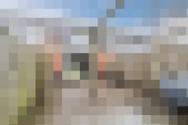 Gerard Doggerlaan 61 Den Haag thumbnail 33