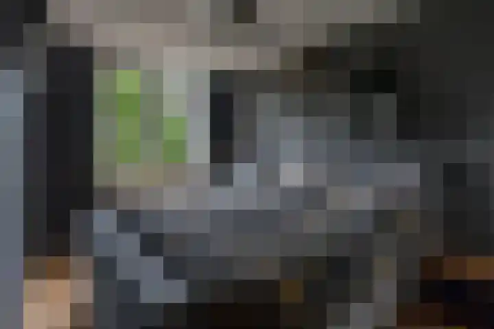 Gerard Douhof 32 Nijkerk thumbnail 12